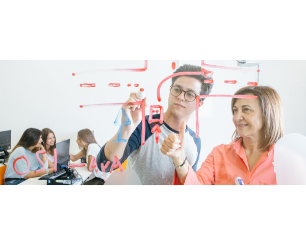 Professional Relationships for Paras